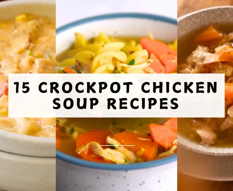 15 Crockpot Chicken Soup Recipes