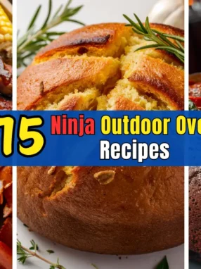 Ninja Outdoor Oven Recipes