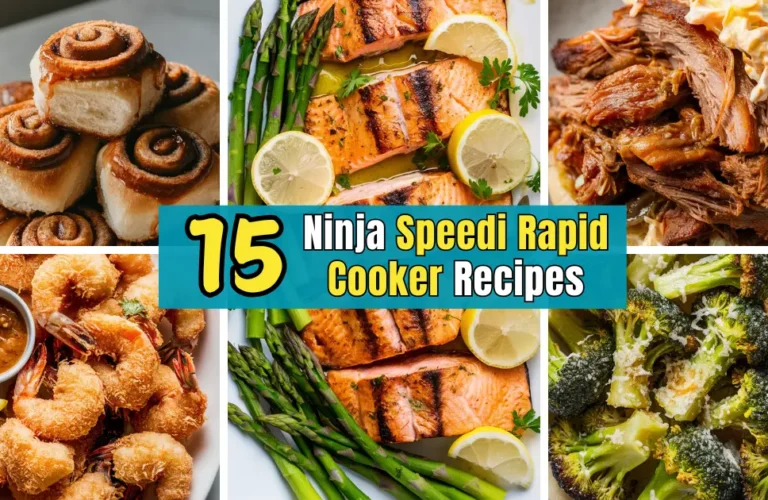 Ninja Speedi Rapid Cooker Recipes